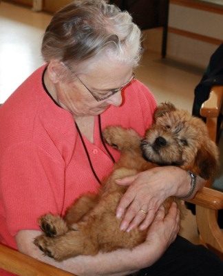 Visitation puppy long-term care