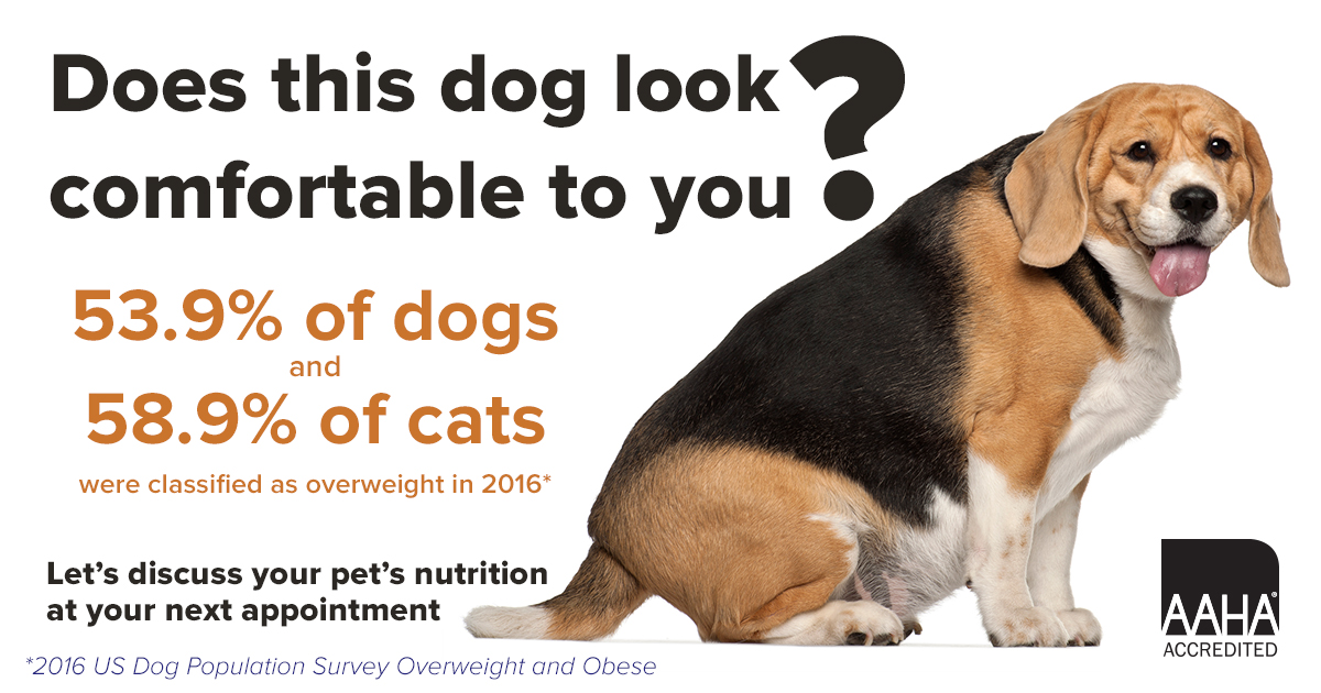 https://wacvet.ca/files/2018/01/AAHA-Pet-Obesity-Awareness-Day.jpg