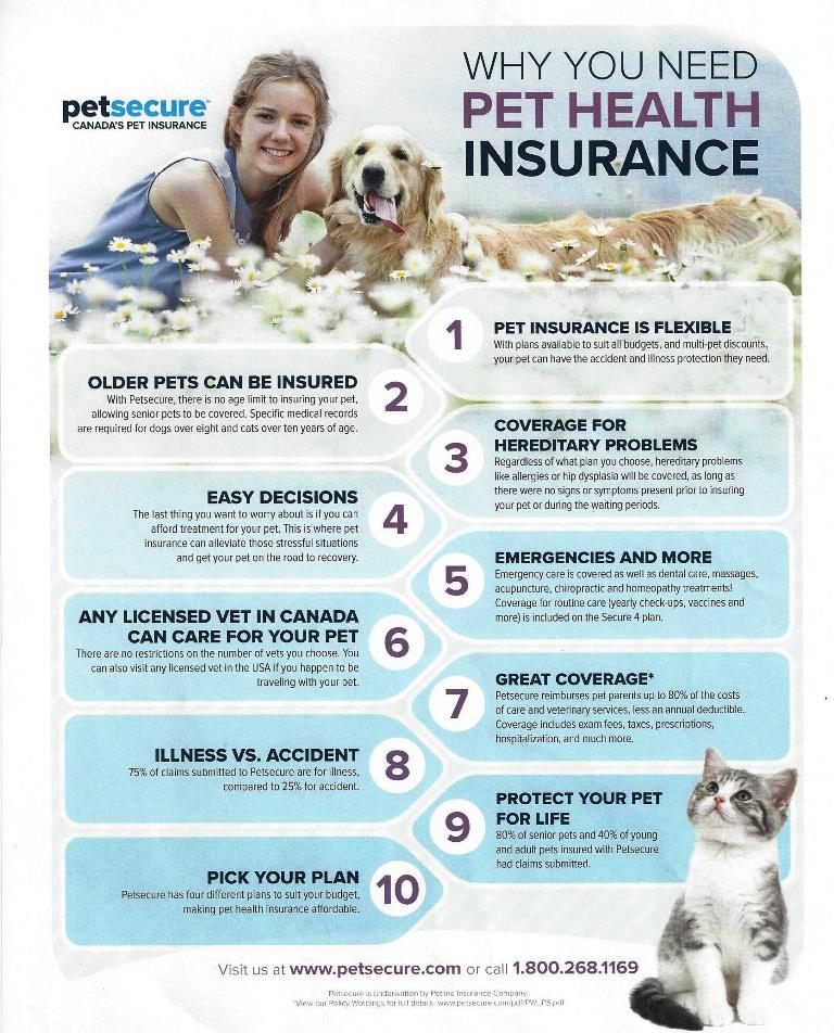 Pet Insurance Nh